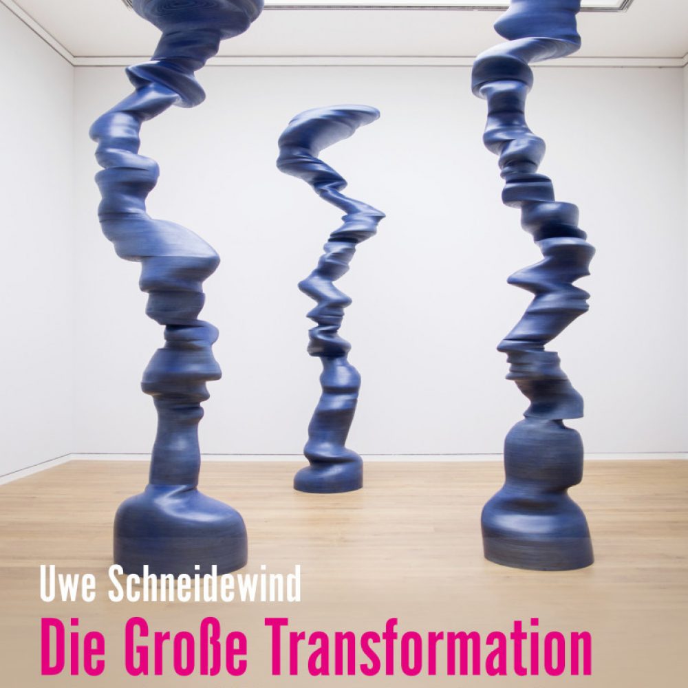 Uwe Schneidewind, Die Große Transformation – Eine Einführung in die Kunst gesellschaftlichen Wandels