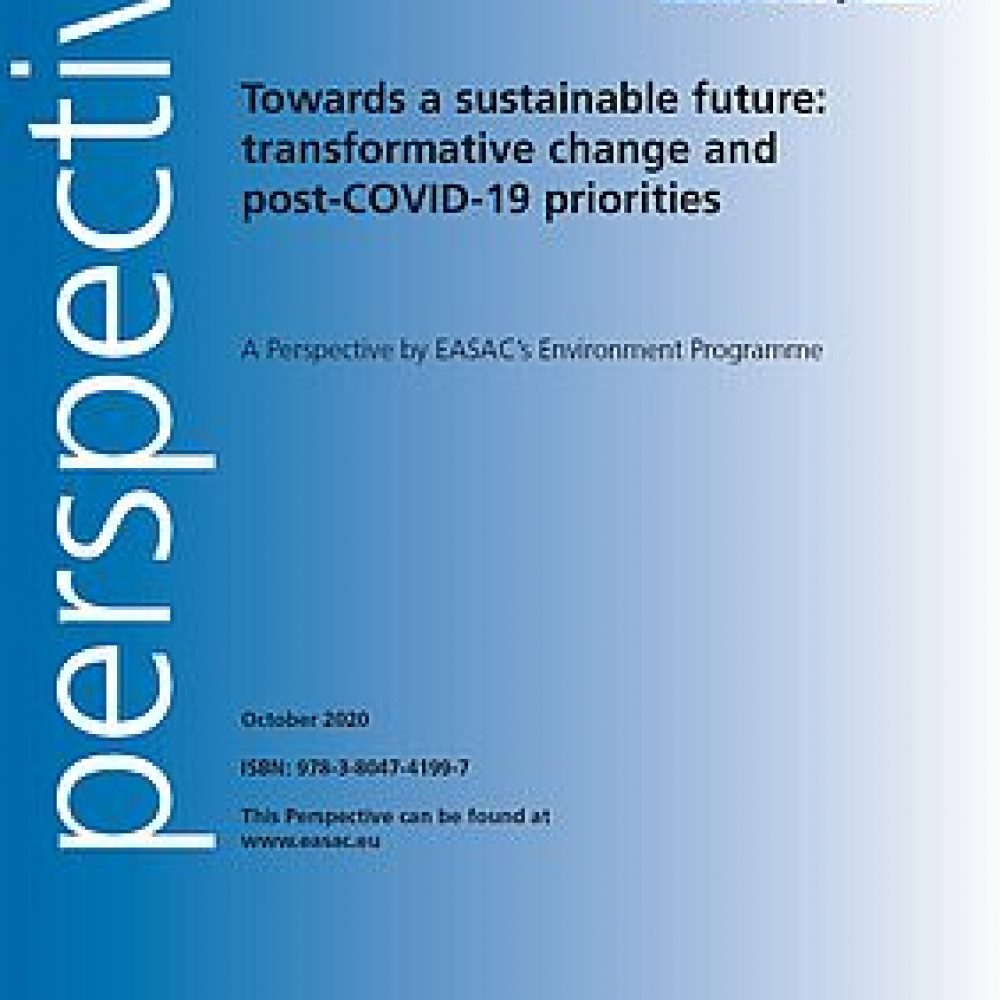 Towards a sustainable future: transformative change and post-COVID-19 priorities