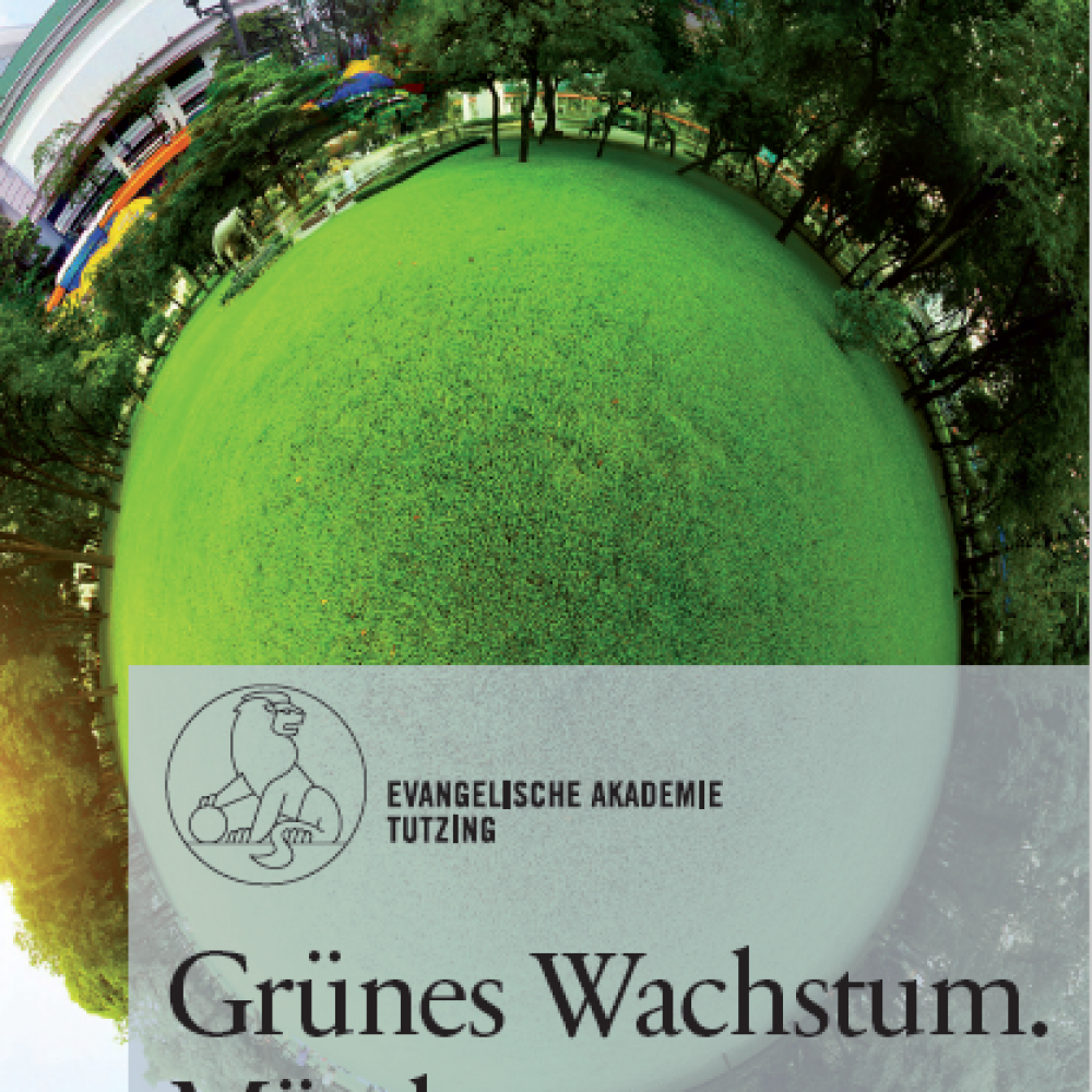 Grünes Wachstum. Märchen oder Strategie?