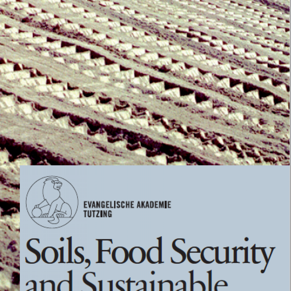 Soils, Food Security and Sustainable Land Management. International Year of Soils