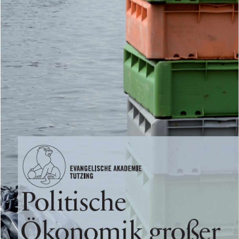 Politische Ökonomik großer Transformationen